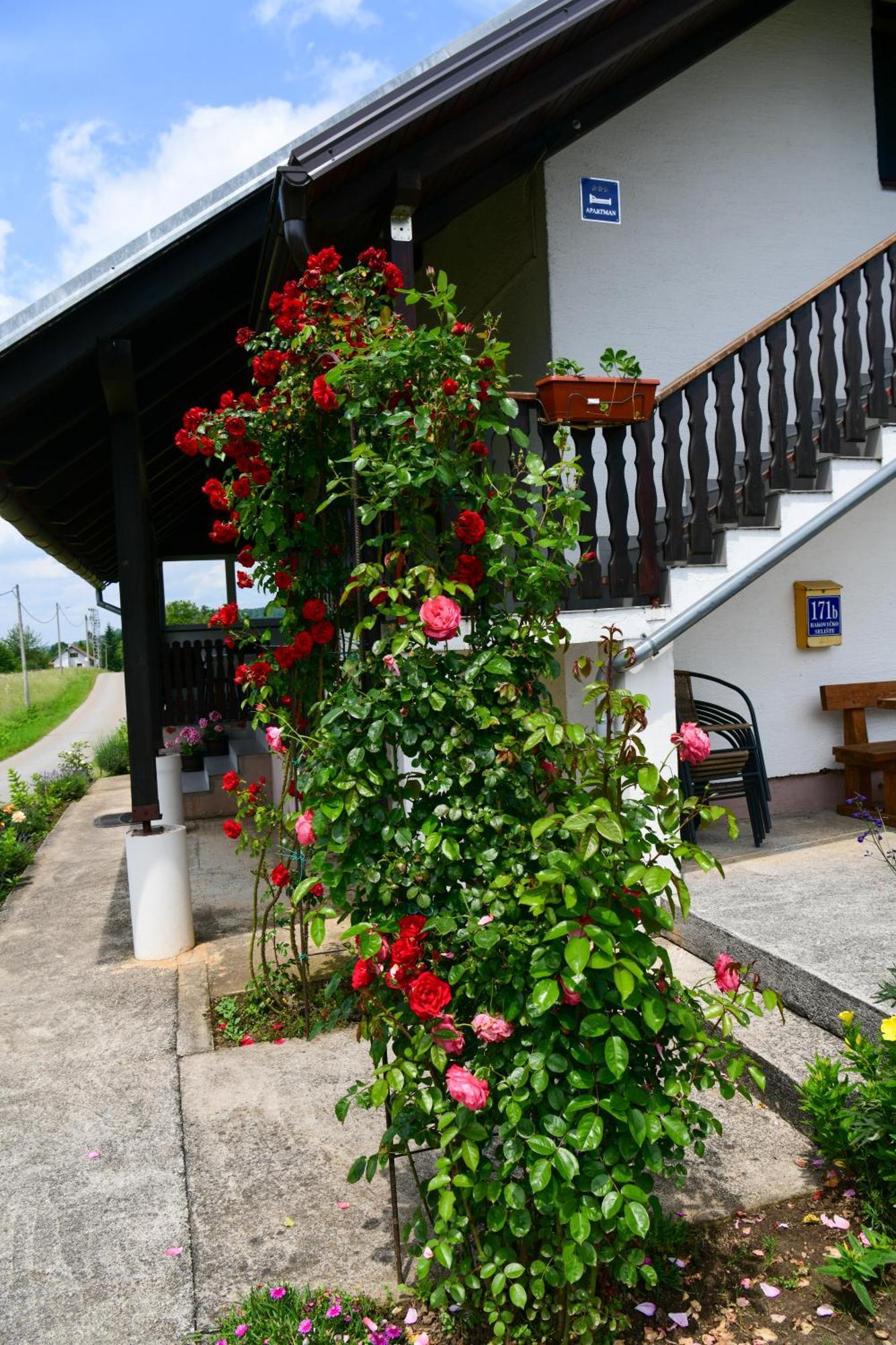 Apartment Ivano Rakovica Exterior foto